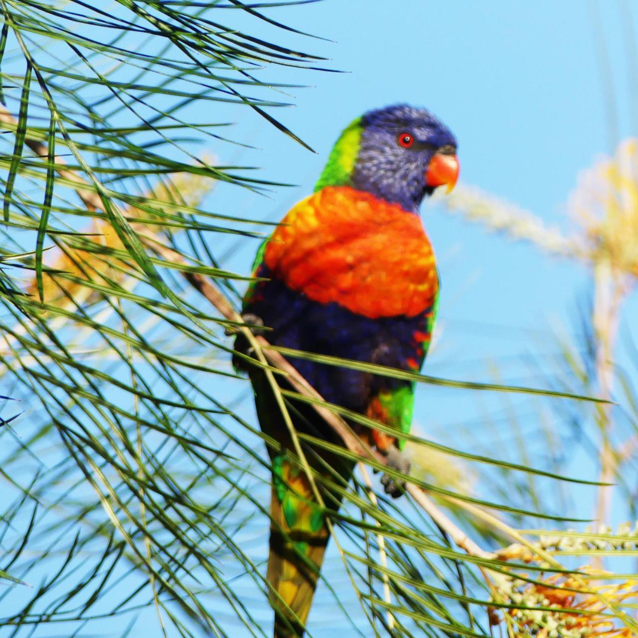 Sanctuary Lakes Fauna Retreat Urangan ภายนอก รูปภาพ